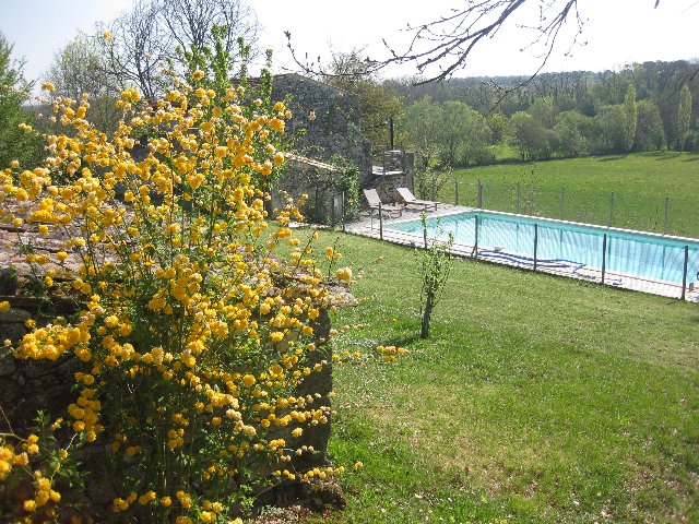 Zwembad in lente 4.jpg