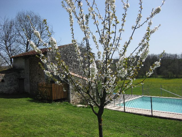 Zwembad in lente.jpg Zwembad in lente.jpg